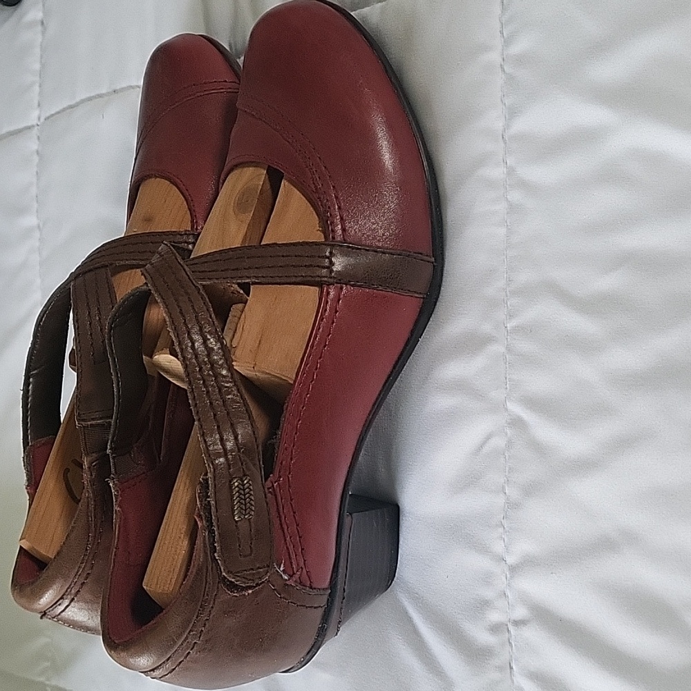 "Earth" leather dress shoes